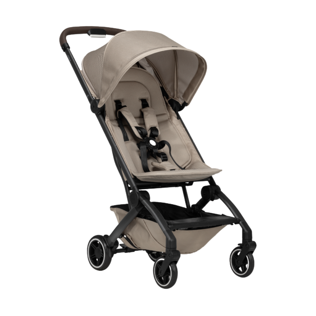 รถเข็นเด็กคันเล็ก (Buggy)