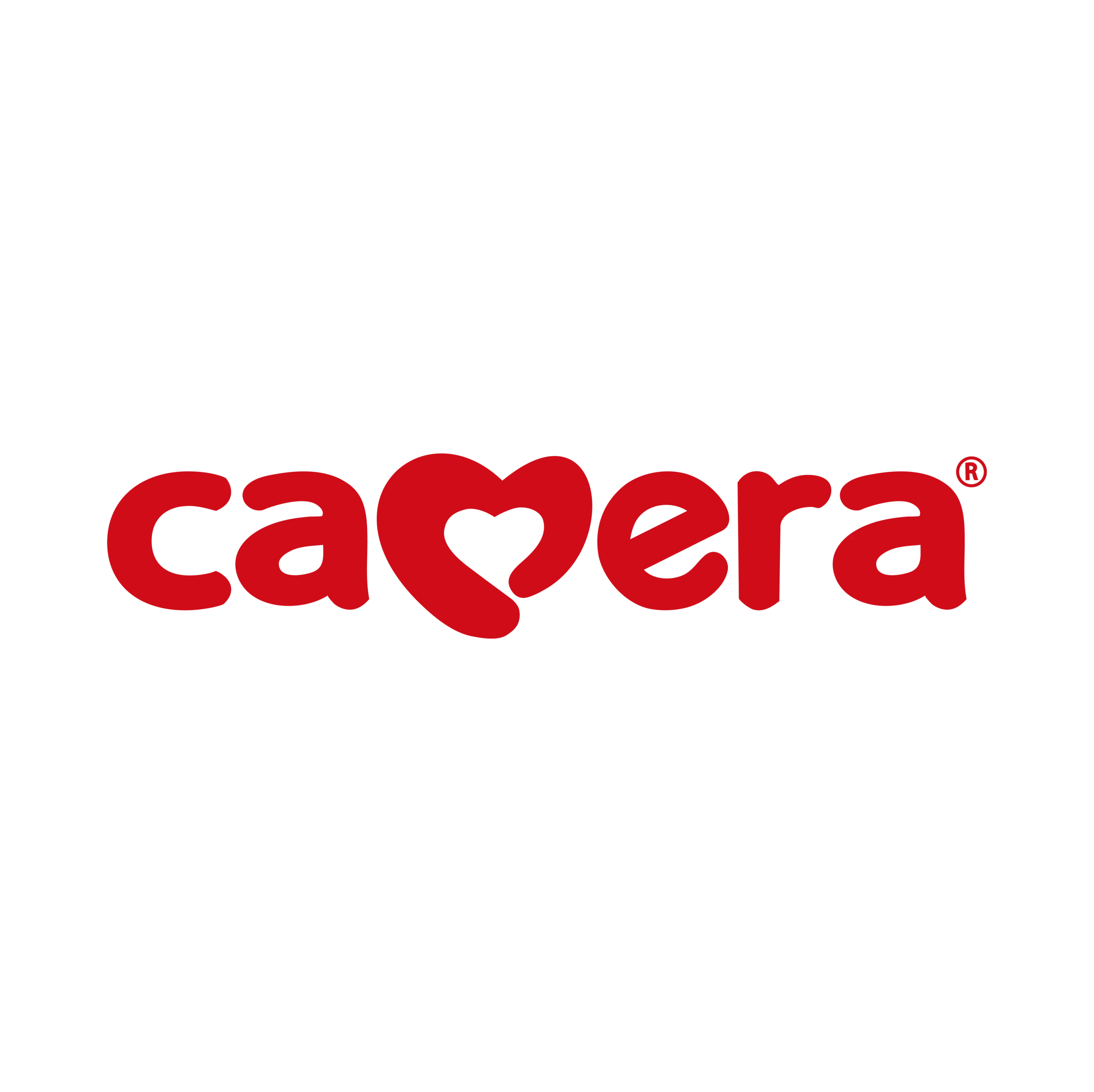 LogoCAMERA